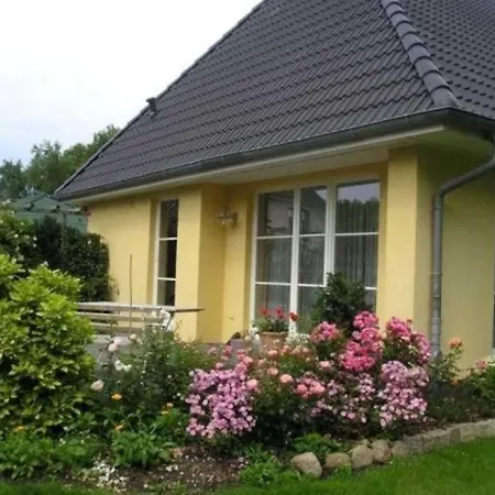 Bernstein-perle Rank Gm 69711 * Graal-Mueritz